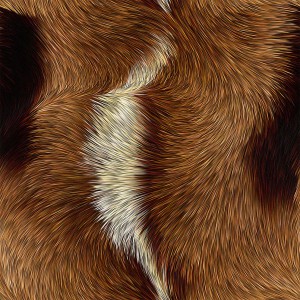 fur-texture (78)
