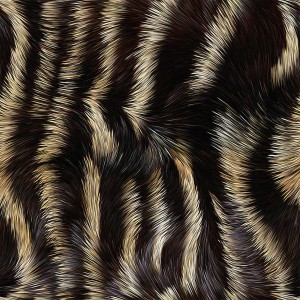fur-texture (80)