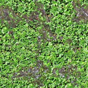 grass-texture (12)