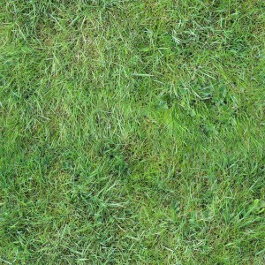 grass-texture (27)