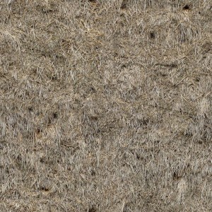 grass-texture (33)