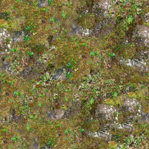 grass-texture (38)