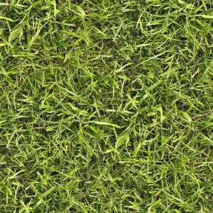 grass-texture (39)
