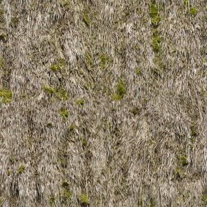 grass-texture (4)