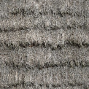 grass-texture (44)