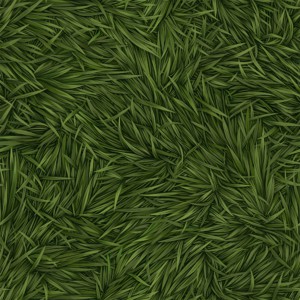 grass-texture (51)