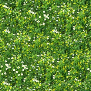 grass-texture (53)