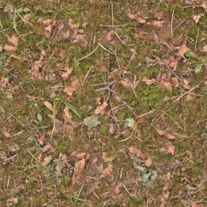 grass-texture (73)