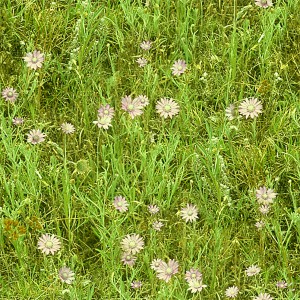 grass-texture (8)