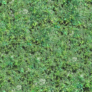 grass-texture (83)