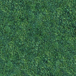 grass-texture (86)