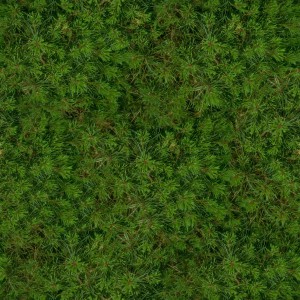 grass-texture (90)