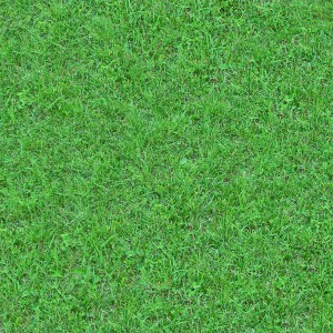 grass-texture (96)