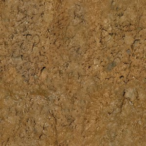 ground-texture (14)