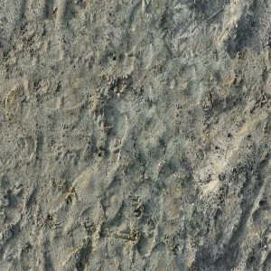 ground-texture (28)