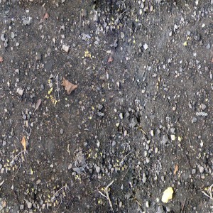 ground-texture (31)