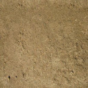 ground-texture (51)