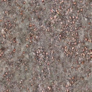 ground-texture (7)
