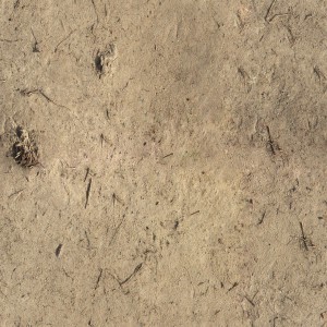 ground-texture (83)