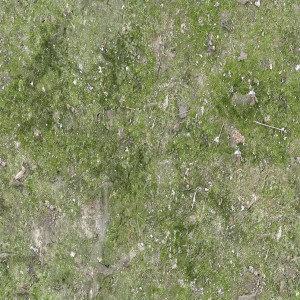 ground-texture (9)
