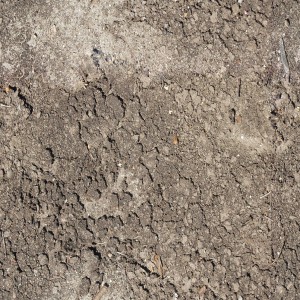 ground-texture (92)