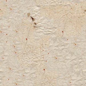 paper-texture (6)