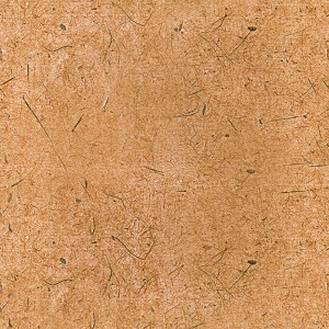 paper-texture (67)