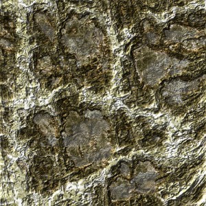 rock-texture (145)