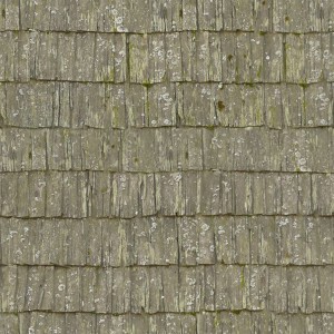 roof-texture (14)