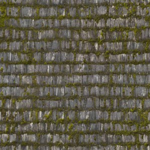 roof-texture (44)