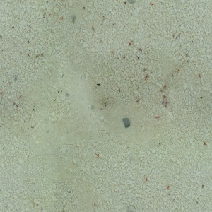 sand-texture (30)