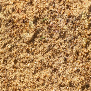 sand-texture (34)