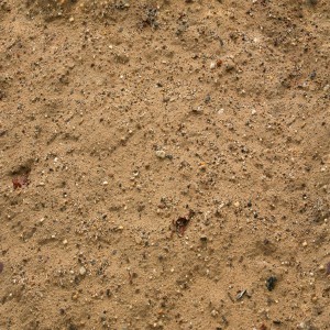 sand-texture (64)