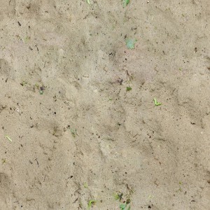 sand-texture (65)