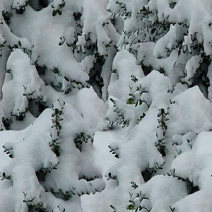snow-texture (27)