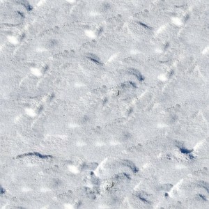 snow-texture (3)