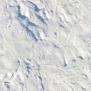 snow-texture (34)