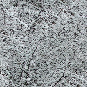 snow-texture (55)