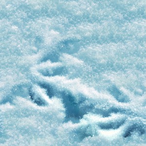 snow-texture (57)