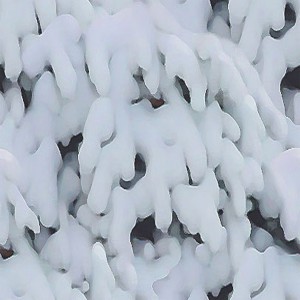 snow-texture (61)