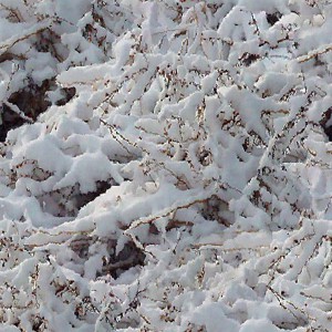 snow-texture (7)