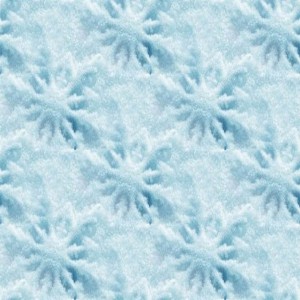 snow-texture (93)