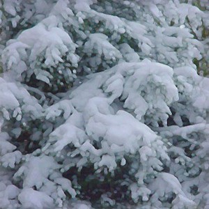 snow-texture (96)
