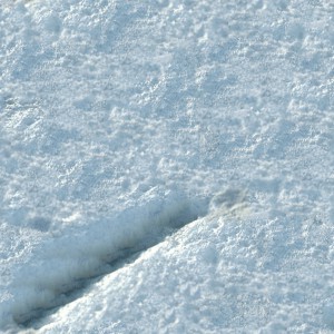 snow-texture (99)
