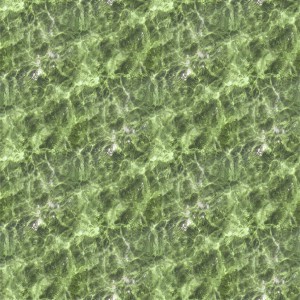 water-texture (79)