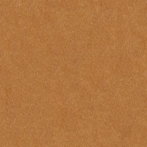wood-texture (44)