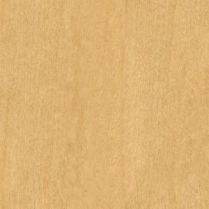 wood-texture (50)
