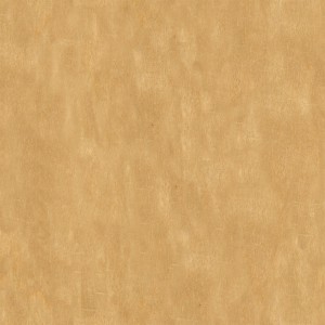 wood-texture (51)