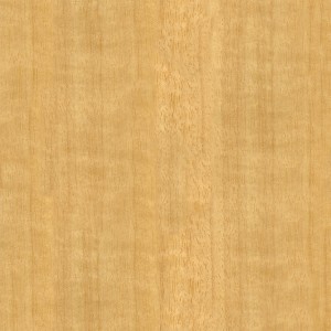 wood-texture (56)