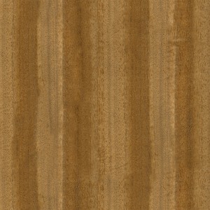 wood-texture (57)